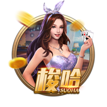 >云开·app官方免费下载2025最新版